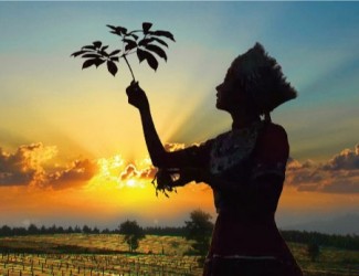 吃三七要在什么年齡，又有什么好處？?