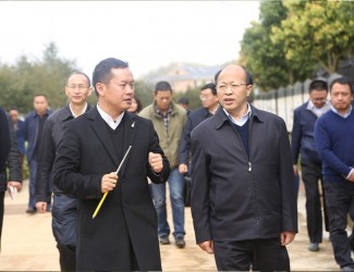 云南省委常委、副書記李秀領(lǐng)一行到苗鄉(xiāng)三七科技示范園考察調(diào)研