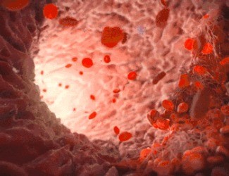 為什么三七被稱為“血管清道夫”？