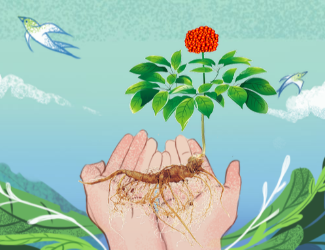 苗鄉(xiāng)三七100萬(wàn)支持文山學(xué)院?jiǎn)?dòng)三七文化建設(shè)