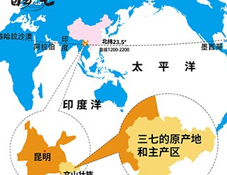 三七產(chǎn)地哪里的最好，廣西田七與云南三七有何區(qū)別