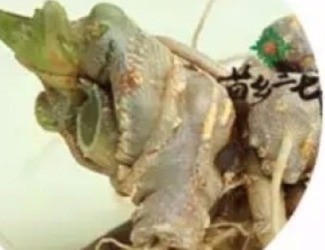 買(mǎi)三七注意事項(xiàng)，帶剪口和不帶剪口的巨大區(qū)別