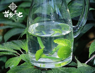 三七時令養(yǎng)生——六月三七花八寶清涼茶