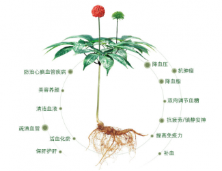 三七救人無國界，美軍飛行員曾受益