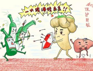 春季養(yǎng)肝正當(dāng)時(shí)，三七保肝有奇效