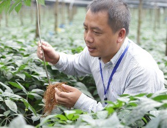 首個(gè)國家三七新品種誕生記——第3季