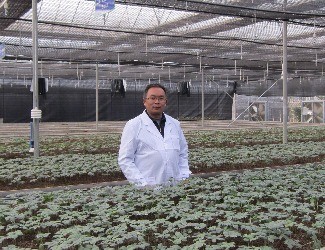 首個(gè)國(guó)家三七新品種誕生記——第2季