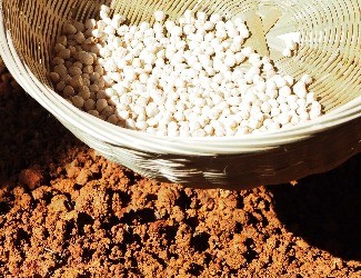 三七的一生——建棚、播種（二）