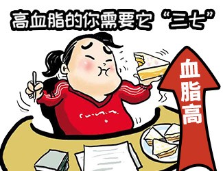 高血脂頭昏天旋地轉(zhuǎn)，三七還我一片天清氣朗