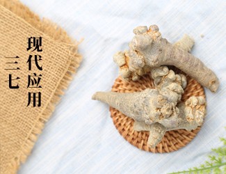 三七的功效作用在現(xiàn)代臨床中的應(yīng)用，揭秘醫(yī)生如何用三七治病