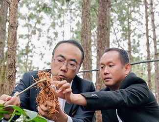 三七良種喜獲豐收，實現(xiàn)產(chǎn)量含量雙突破！