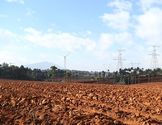 三七土壤危機(jī)何解？官會(huì)林教授開(kāi)出“生態(tài)藥方”